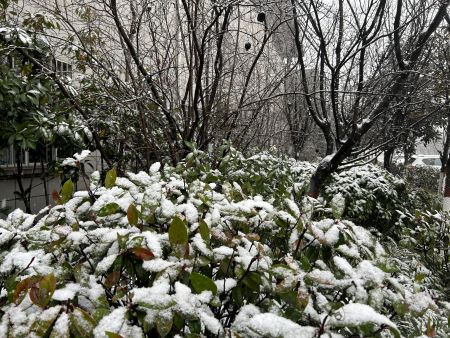 ΢��ͼƬ_20250113150038